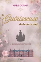 Guerisseuse broches grands format 2